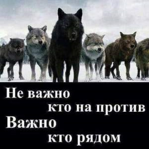 Картинка, распространённая на странице судьи Александры Хиталенко в социальной сети «Фейсбук».