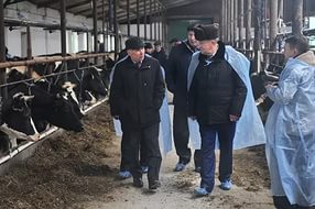 Запуск новой фермы в Вавожском районе — одном из лидеров по молоку. Фото: ijevsk.monavista.ru