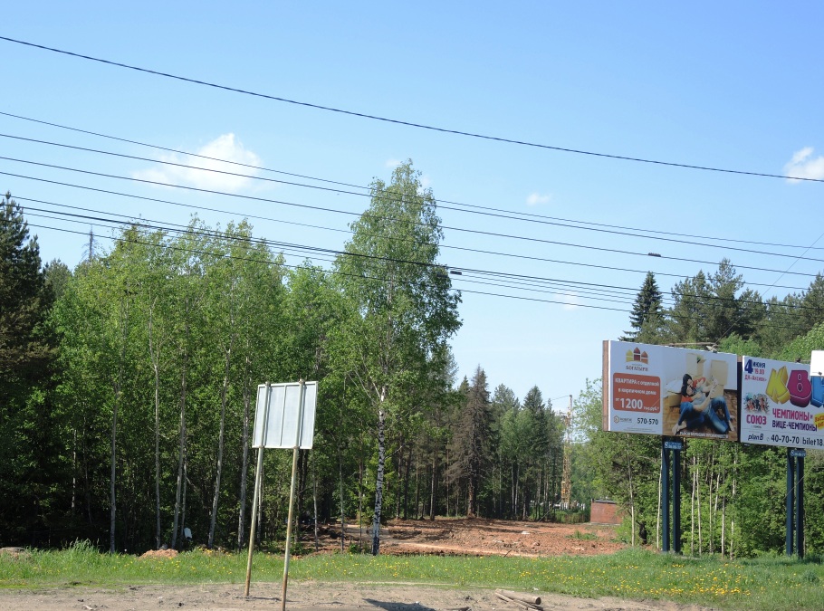 Холмогороский лес. Вид со стороны ул. Удмуртской. Фото ©День.org
