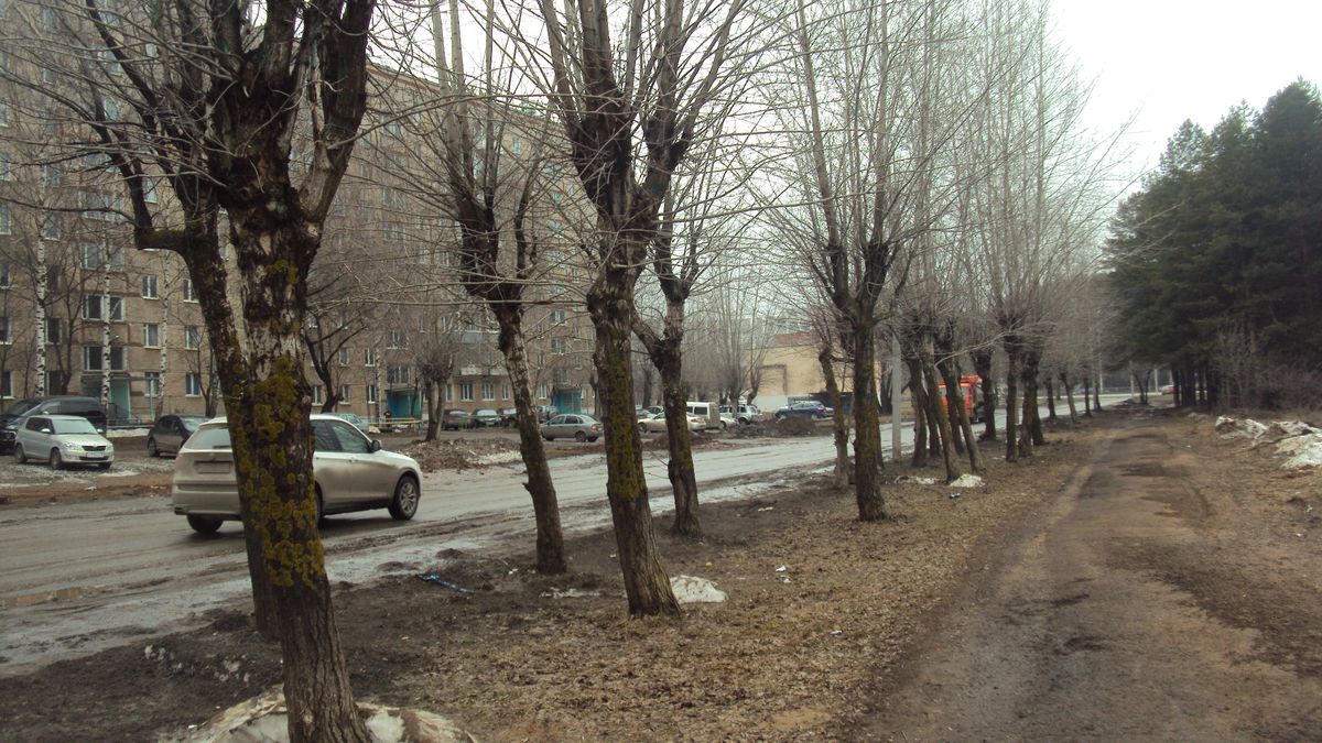 Проспект Михаила Калашникова в Ижевске. Фото: © «ДЕНЬ.org»