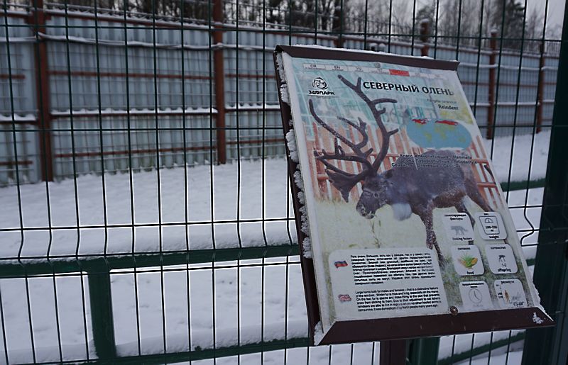 Вольер "Северный олень" в зоопарке Удмуртии. Фото: © тг-канал «Это Щукин» 