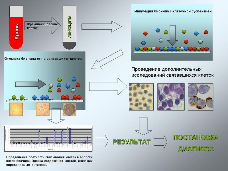 Схема проведения анализа с помощью биочипа
