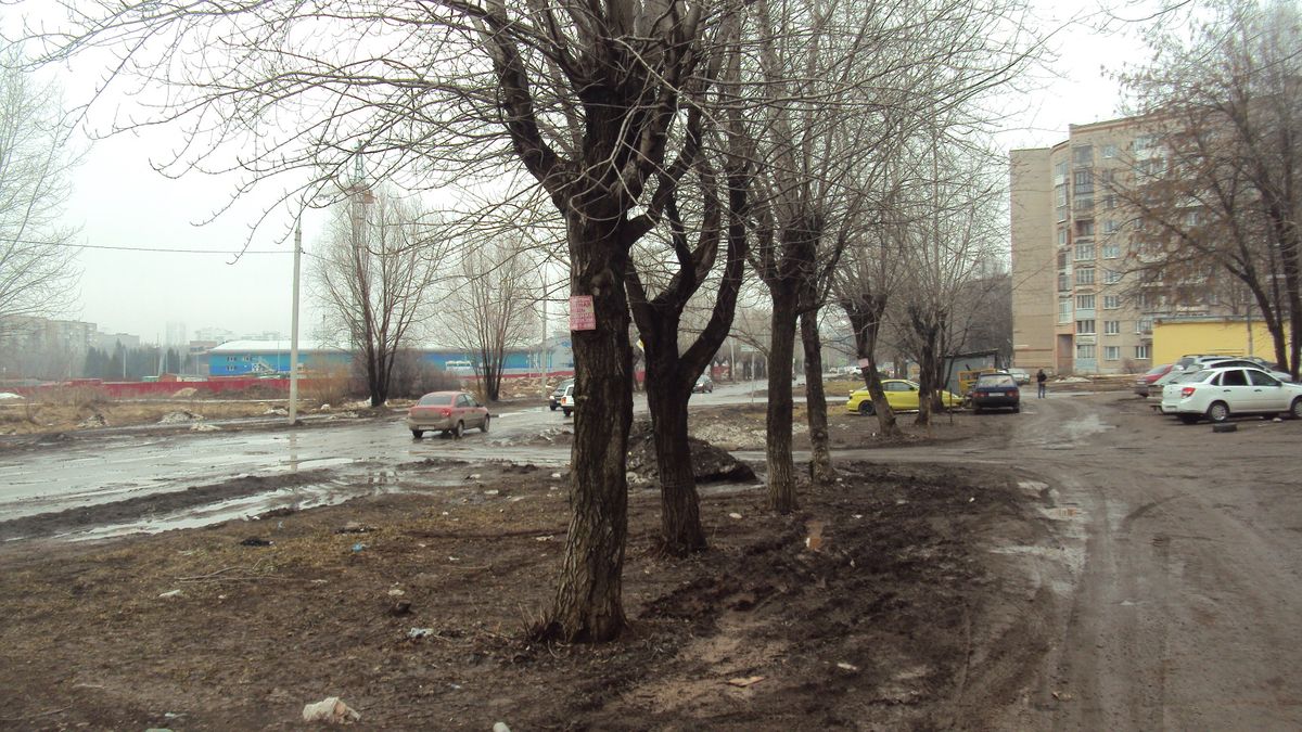 Собственно проспект Калашникова. Фото: © «ДЕНЬ.org»