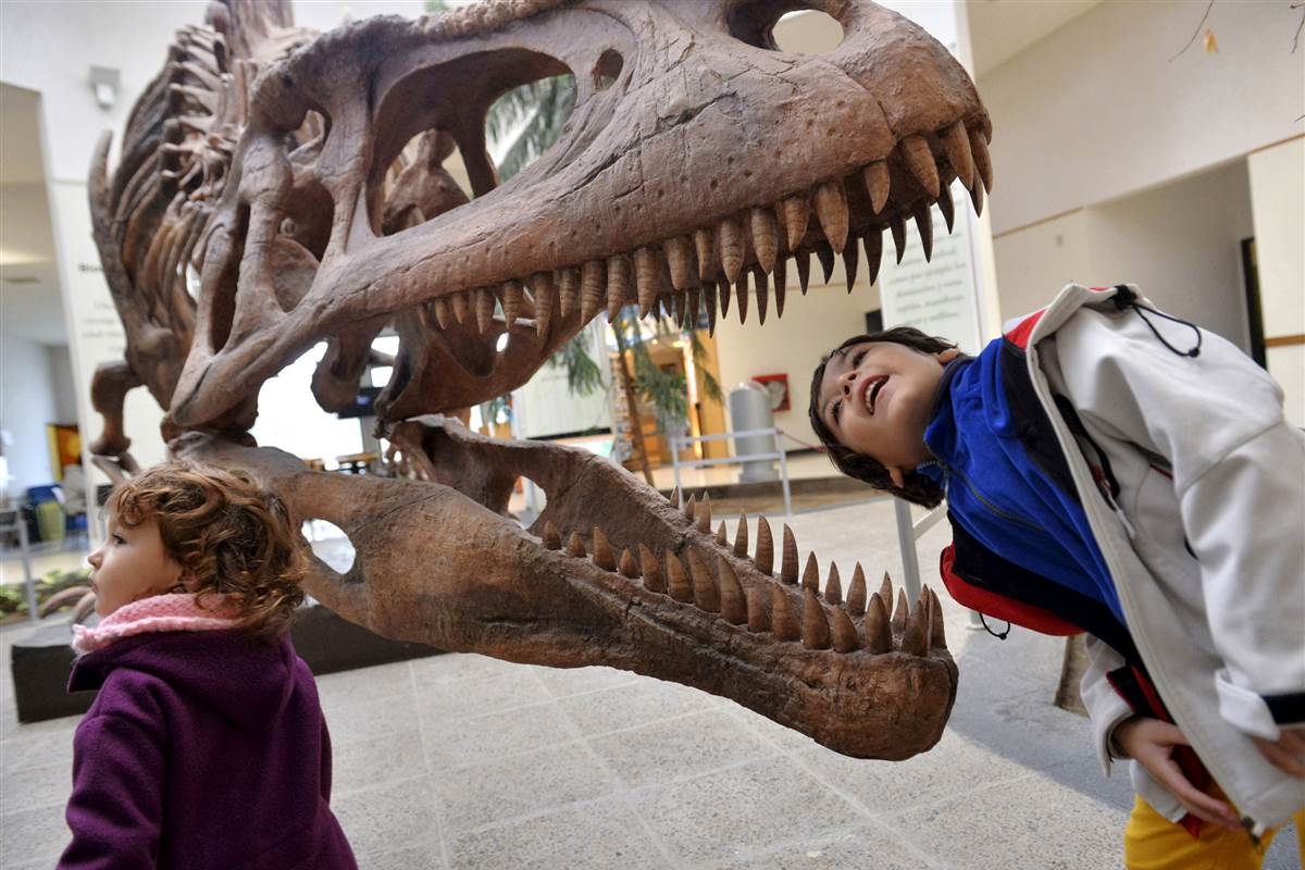 Палеонтологический музей Тиранозавр